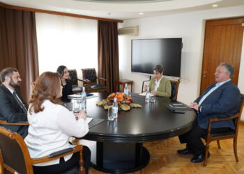 Պապոյանը Նուբար Աֆեյանի հետ քննարկել է պետություն-մասնավոր հատվածի համագործակցության շրջանակներում մասնավոր ներդրումային ֆոնդ ստեղծելու հայեցակարգը