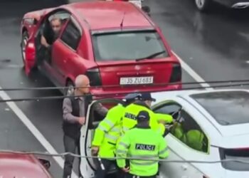 «Ոստիկանը «փողոցային ռազբորկայի» մասնակից կամ հարց լուծող չէ, որ անգամ քաղաքացու կողմից հայհոյանքի դեպքում արգելված վերաբերմունքով, այն էլ հրապարակայնորեն, նվաստացնի քաղաքացուն». Թաթոյան