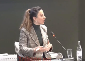 Մենք ունենք հրաժարումներ, որի նպատակը չզայրացնելն է Ադրբեջանի իշխանություններին. տեսանյութ