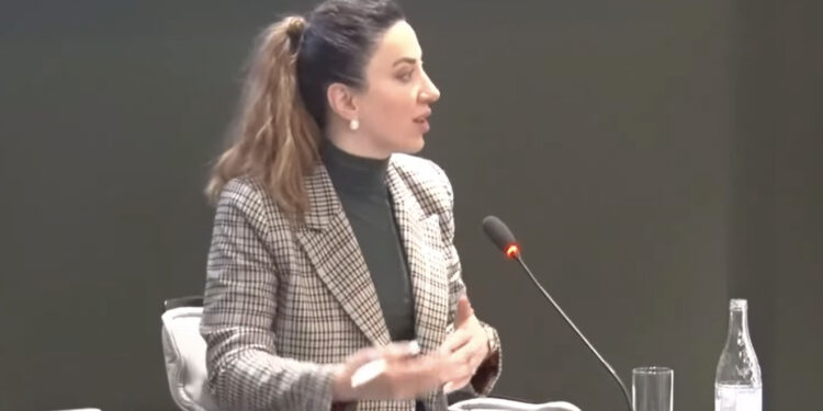 Մենք ունենք հրաժարումներ, որի նպատակը չզայրացնելն է Ադրբեջանի իշխանություններին. տեսանյութ