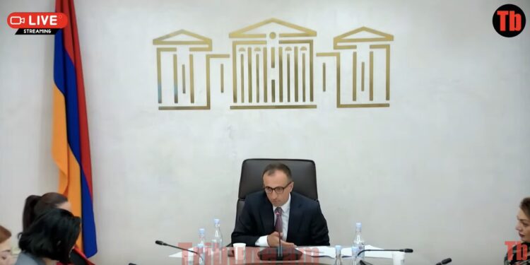 Տիկին Նանուշյան, խնդրում եմ, հստակ ասեք՝ այո կամ ոչ․ Թորոսյանը՝ փոխնախարարին. տեսանյութ