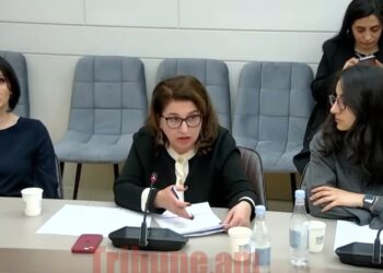 Սկսելու ենք վարկի տոկոսները մարել, բայց չգիտենք՝ երբ ենք օրենքն ընդունելու․ Կյուրեղյան. տեսանյութ