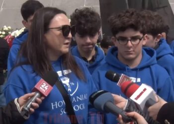 Սփյուռքահայ ուսուցչի արձագանքը՝ Փաշինյանի ասածներին. տեսանյութ