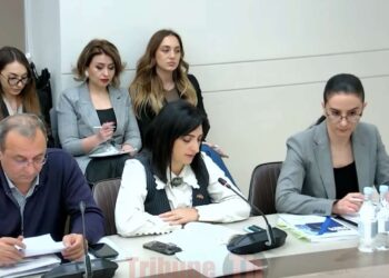 Ունեմ լուսանկար, ծնկաչոք խոտի վրա են չոքացրել, տաբատն իջեցրել են, թքել վրան. Թագուհի Թովմասյան. տեսանյութ