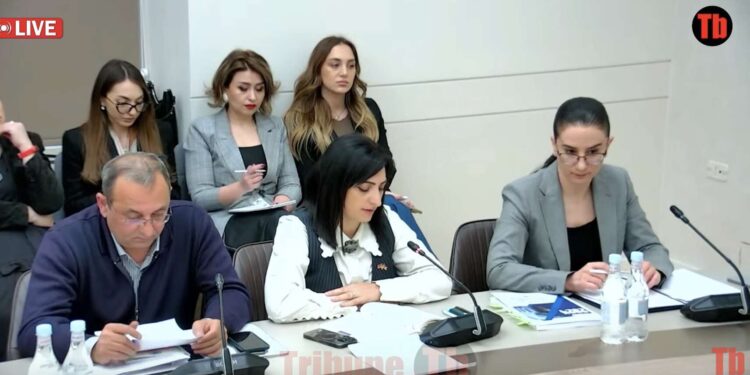 Ունեմ լուսանկար, ծնկաչոք խոտի վրա են չոքացրել, տաբատն իջեցրել են, թքել վրան. Թագուհի Թովմասյան. տեսանյութ