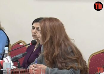 Մուտքի մոտ դուբինկայով տալ գլխի՞ն, թե՞ հոգեբանական տեռոր անել, ո՞րն է վատ, ուզում եք հարց չտա՞նք. տեսանյութ