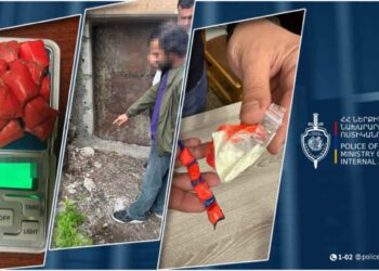 Երևանում 28-ամյա օտարեկրացու մոտ հայտնաբերվել է 20 փաթեթ թմրանյութ