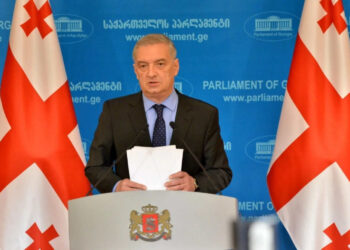 «Վրաստանը՝ որպես չեզոք երկիր, տարածաշրջանում անվտանգությունն ապահովելու ներուժ ունի և շահագրգռված է հայ-ադրբեջանական կարգավորմամբ». խորհրդարանի փոխխոսնակ