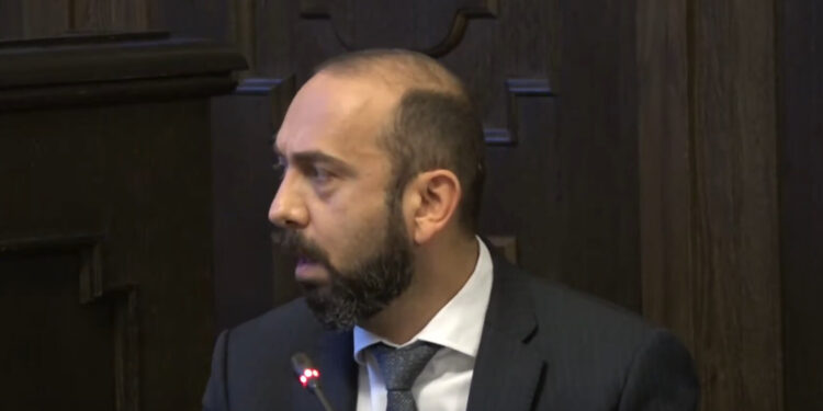 Մենք ինչի՞ ենք փող տալիս հանդիսությունների սրահին. Միրզոյանը բողոքեց, Փամբակի օբյեկտի համար. տեսանյութ