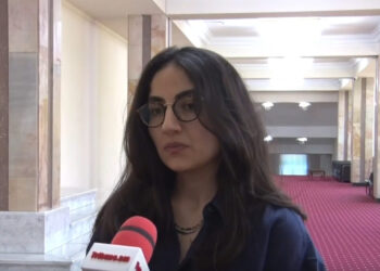 Պատմությունն ապտակներ է հասցնում, պիտի սթափվենք. Կրպեյան. տեսանյութ