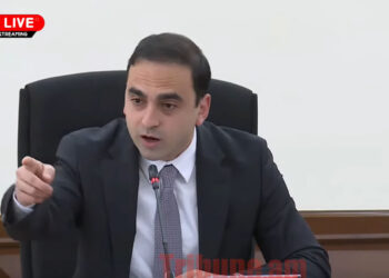 Հողի գողը գո՞ղ չի, ինչ-որ տարածք քեզնով անելն առողջ մտածելակերպ չի․ Ավինյան. տեսանյութ