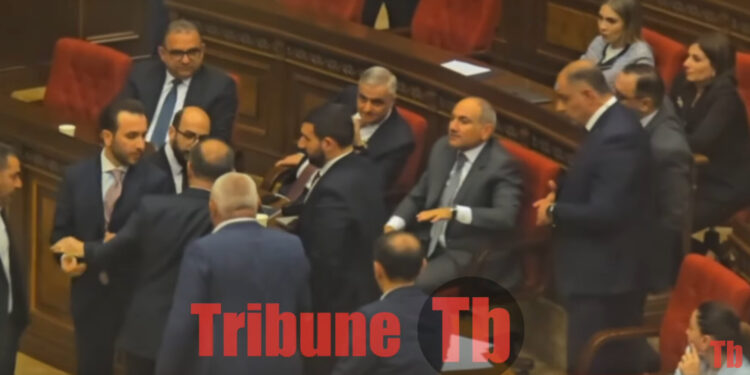 Արա ա՛յ համբալ, արի հելի դուրս. ՔՊ-ականները քաշում են Սեյրան Օհանյանին, ագրեսիվ վրա տալիս. տեսանյութ