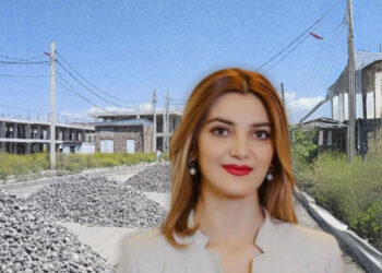 Էջմիածնում սուբվենցիոն ծրագրով խթանում են Դիանա Գասպարյանի ընտանեկան բիզնեսը. Hetq.am