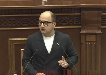 Ձե՞ռ եք առնում, պատգամավորն արել է ծայրահեղ դատապարտելի արարք. Մամիջանյանի կոշտ ելույթը. տեսանյութ