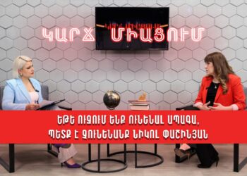 Եթե ուզում ենք ունենալ ապագա, պետք է չունենանք Նիկոլ Փաշինյան. Նաիրա Կարապետյան