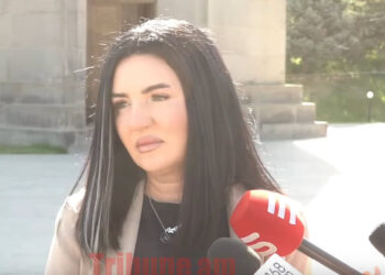 էն ուղեղներին, որոնց չի հասնում՝ ՀՀ նախագահը կարո՞ղ է լուծարել Հայաստանը. Մետաքսե Հակոբյան. տեսանյութ