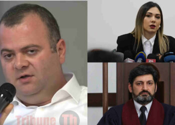 Սրբուհի Գալյանն ու Վահե Գրիգորյանը հերթական հակասահմանադրական մեկնաբանությունն են փորձում անել. տեսանյութ