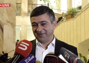 Կոնյակ-բանբաներկով չեմ եկել. Սարիկին շատ վրա չտաք. Վարդան Ղուկասյանի պադերժկան՝ ՔՊ-ին. տեսանյութ