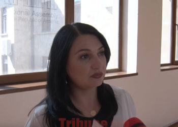 Հանուն Եվրոպայի չարժեր մարդ ծեծել, շատ վատ էր,դեպքեր կան, որ չպետք է լռել. Լիլիթ Ստեփանյան. տեսանյութ