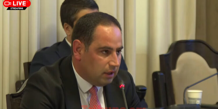 Կառավարության շենքը վարձով են տալիս. նոր խնդրահարույց նախագիծը. տեսանյութ