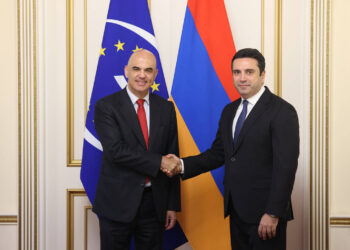 Ալեն Սիմոնյանը ԵԽ գլխավոր քարտուղարի հետ քննարկել է Հայաստանի և Ադրբեջանի միջև խաղաղության հաստատմանն առնչվող հարցեր