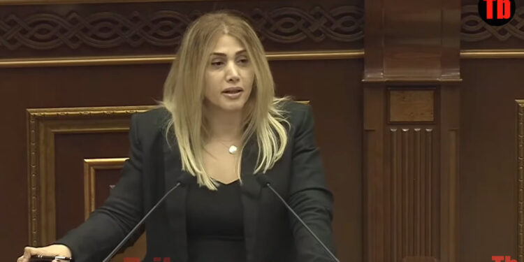 Դուք ադեկվա՞տ եք, երբ էս ամբիոնից հոխորտում եք սեփականության ազգայնացման մասին. Էլինար Վարդանյան. տեսանյութ