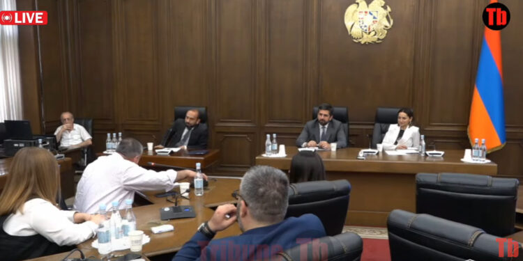 Կա՞ր Արցախի Հանրապետություն, դուխով ասեք՝ հա, հալվա ասելով բերանը չի քաղցրանա. Միրզոյանի վեճը. տեսանյութ