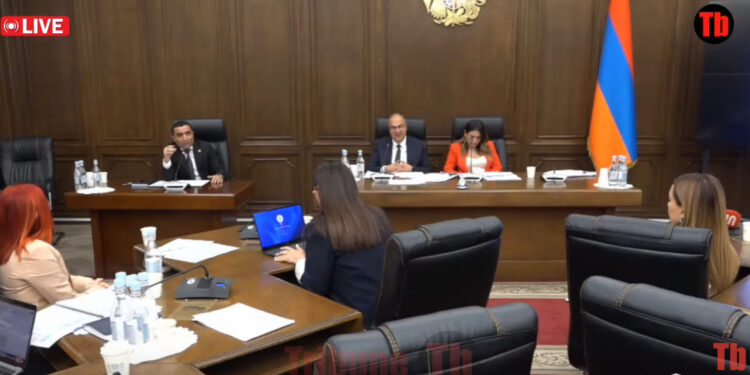 100 մլրդ-ի չարաշահում եք գտել ու 1%-ն եք բյուջե բերե՞լ. Աննա Գրիգորյանը՝ Ռոմանոս Պետրոսյանին. տեսանյութ