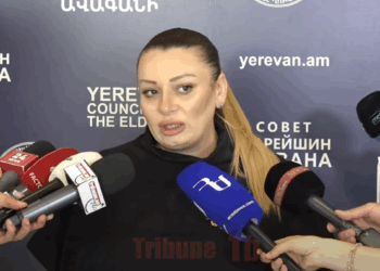 Բիզնեսմեն տերտերների դեմ պայքար է, ես երբեք կաթողիկոսին չեմ ընդունել. Անի Խաչատրյան