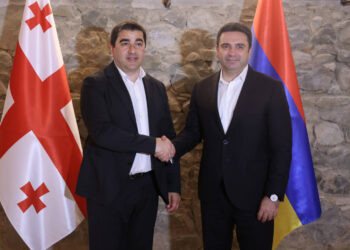 Ալեն Սիմոնյանն ու Վրաստանի խորհրդարանի նախագահը քննարկել են տարածաշրջանային զարգացումներին վերաբերող հարցեր