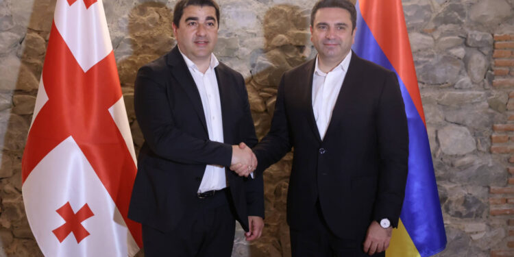Ալեն Սիմոնյանն ու Վրաստանի խորհրդարանի նախագահը քննարկել են տարածաշրջանային զարգացումներին վերաբերող հարցեր