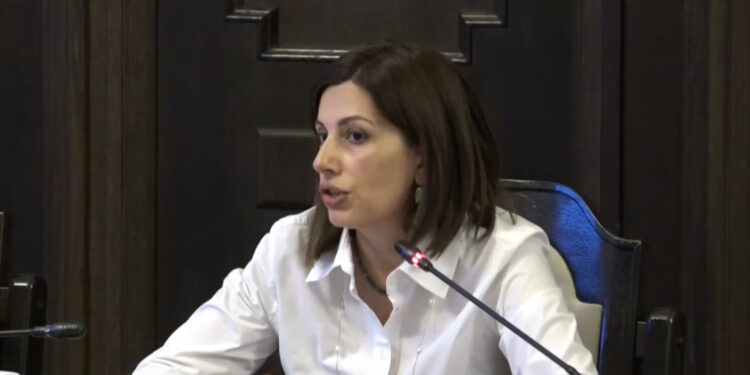 Հիվանդ երեխաների մատը ծակելու գործընթացն ավարտելու ենք, սարք կա․ Ավանեսյան. տեսանյութ