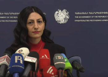 Նրանք անչափահասներ չեն, առանձնահատկություններով են. Մանասյանը՝ նկարվելու մասին. տեսանյութ