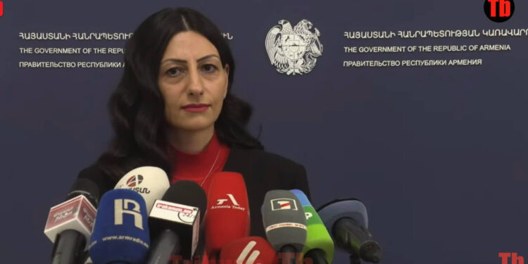 Նրանք անչափահասներ չեն, առանձնահատկություններով են. Մանասյանը՝ նկարվելու մասին. տեսանյութ