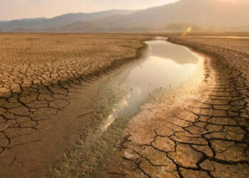 Թուրքիայի տարածքի 88%-ը գտնվում է անապատացման վտանգի տակ