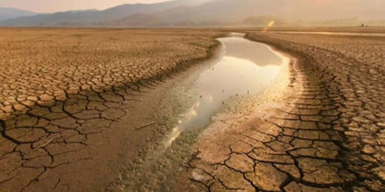 Թուրքիայի տարածքի 88%-ը գտնվում է անապատացման վտանգի տակ