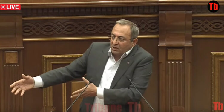 «Ռոսիա Մոլն» ու «Վիվարոն» էլ դարձրեք պետական․ Արծվիկ Մինասյան. տեսանյութ