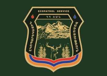 Էկոպարեկը կաշառք է ստացել ապօրինի ծառահատումը չկանխելու և իրավախախտումը չարձանագրելու համար