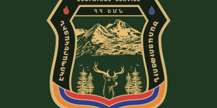 Էկոպարեկը կաշառք է ստացել ապօրինի ծառահատումը չկանխելու և իրավախախտումը չարձանագրելու համար