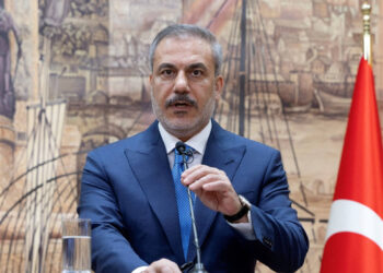 «Թուրքիան Հարավային Ասիայում խաղաղության և կայունության կողմնակից է». Ֆիդան