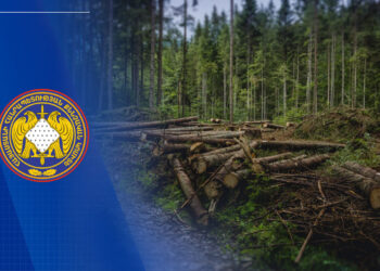 «Հայանտառ» ՊՈԱԿ-ի մասնաճյուղերից մեկի տնօրենը պետությանը պատճառել է ավելի քան 360 մլն դրամի վնաս