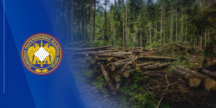 «Հայանտառ» ՊՈԱԿ-ի մասնաճյուղերից մեկի տնօրենը պետությանը պատճառել է ավելի քան 360 մլն դրամի վնաս