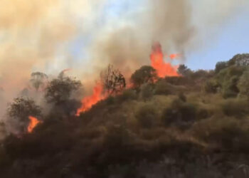 Արցախում շարունակում են մոլեգնել անտառային հրդեհները