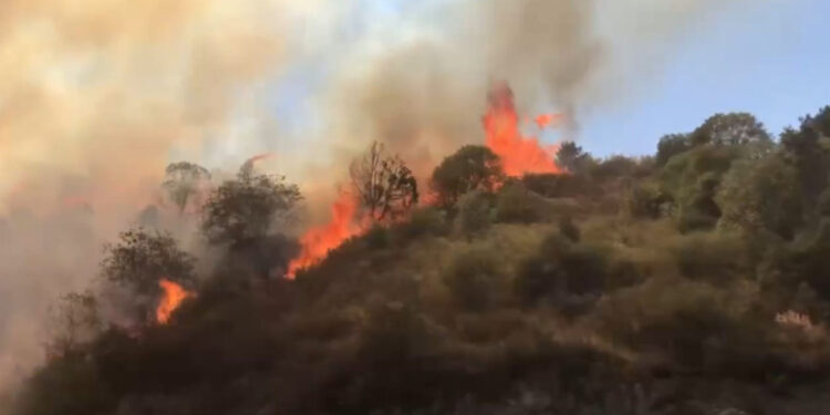 Արցախում շարունակում են մոլեգնել անտառային հրդեհները