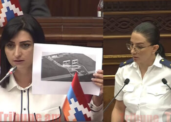 ՔՊ-ի սիրելի գործարարին պատժելու քաղաքական նպատակահարմարություն չկա. Թագուհի Թովմասյան. տեսանյութ