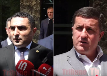 Ղազինյանը ձև չունի մնալու, ինքը իմ ենթական ա. Ռոմանոս Պետրոսյան. տեսանյութ