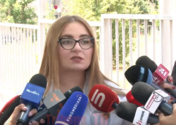 Պատահական չէ, որ այս ակտիվ փուլը սկսվեց Թուրքիա այցելությունից և Էրդողանի հետ այցելությունից հետո. Քրիստինե Վարդանյան. տեսանյութ