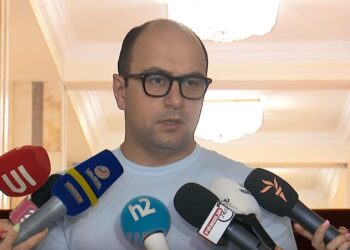 Տոպրակների դեմ պայքարող խումբը ՀԷՑ ա ուզում կառավարի. Մամիջանյան. տեսանյութ