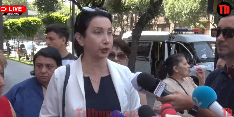 Եթե թափառող կենդանիներն էդտեղ ապրեին, կենդանասերները շատ մեծ աղմուկ կբարձրացնեին. տեսանյութ