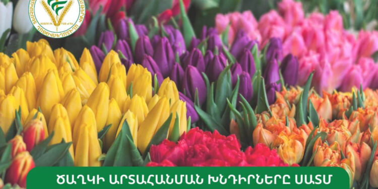 Ծաղկի արտահանման խնդիրները ՍԱՏՄ ուշադրության թիրախում են